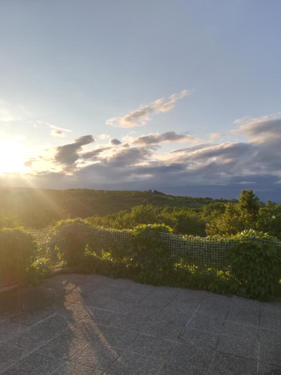 Istria Divina - Housity