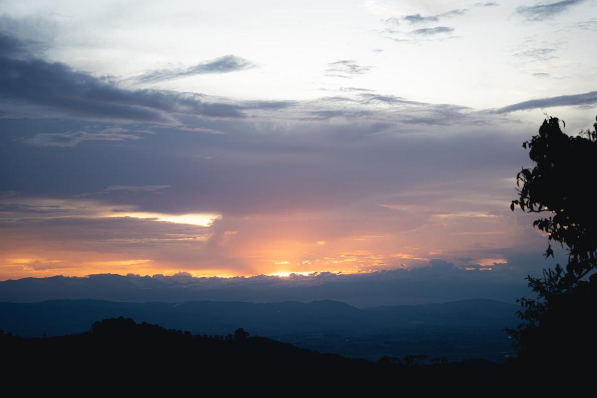 Glamping Quindio - Housity