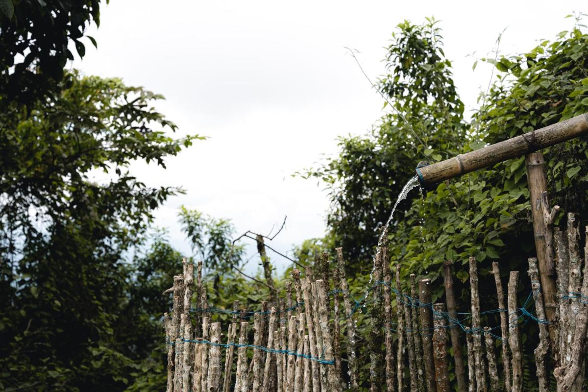 Glamping Quindio - Housity
