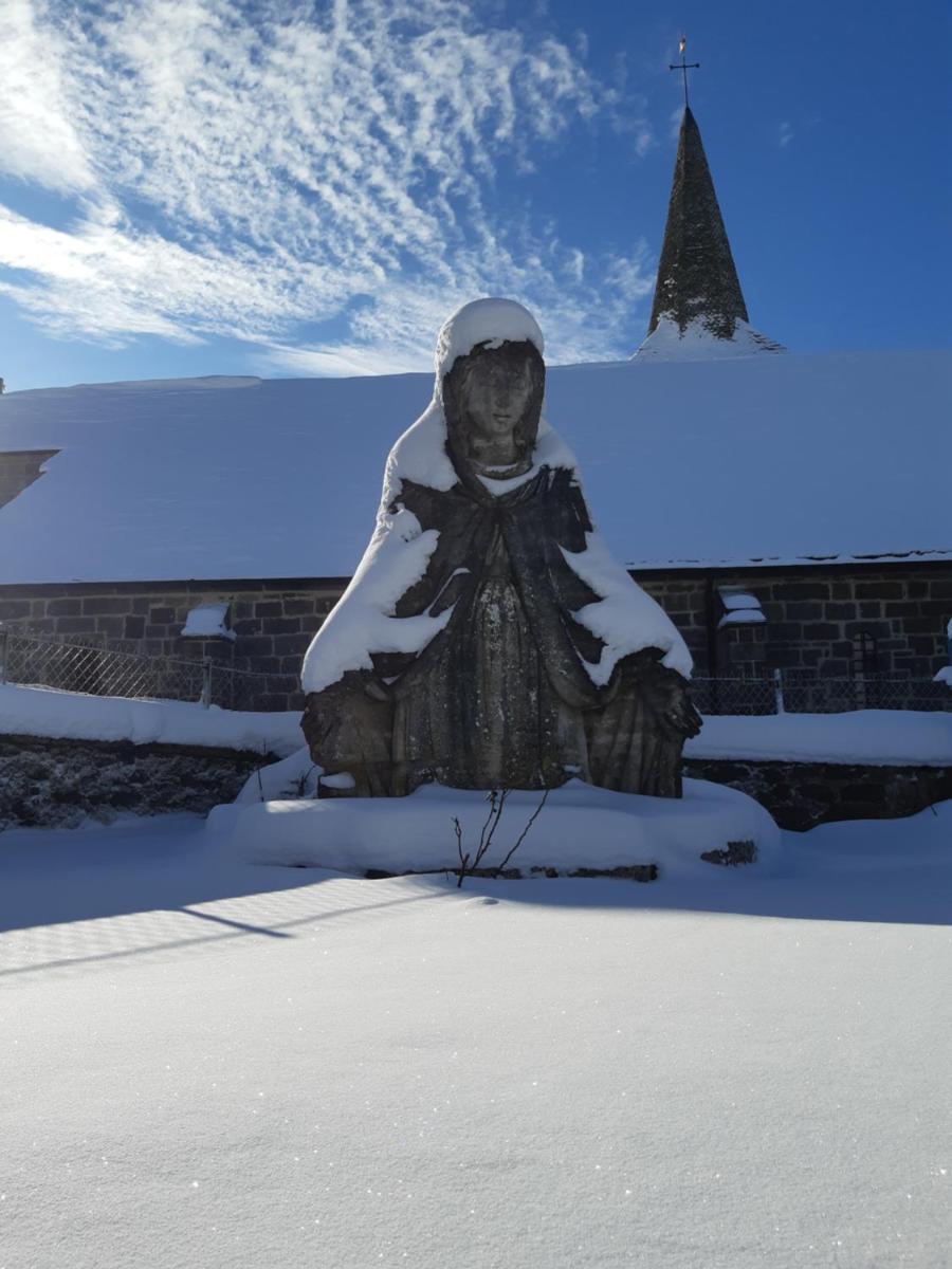 Manoir Saint-Pardoux 63680 - Housity