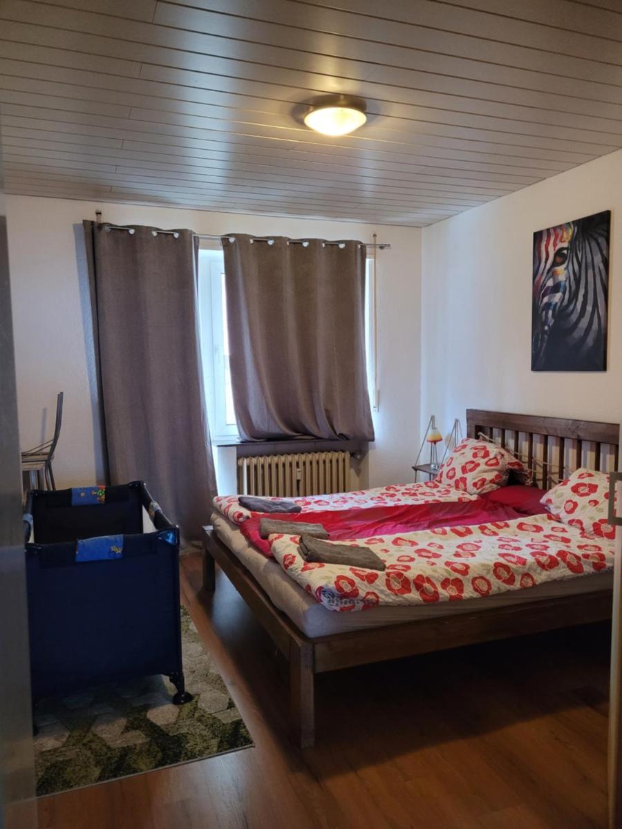 Apartments Nikol - Ludwigshafen - Housity