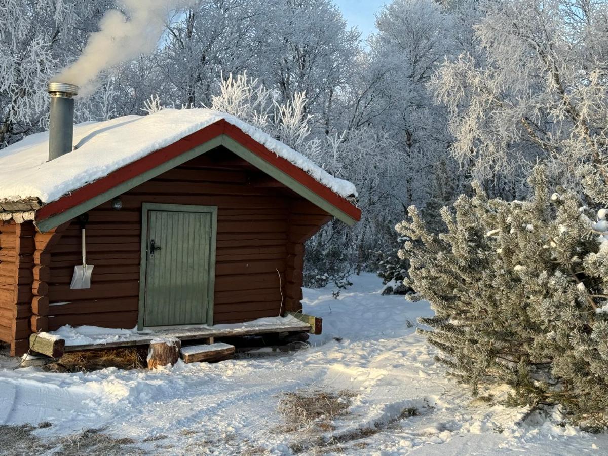 Escapade Norvégienne - Housity