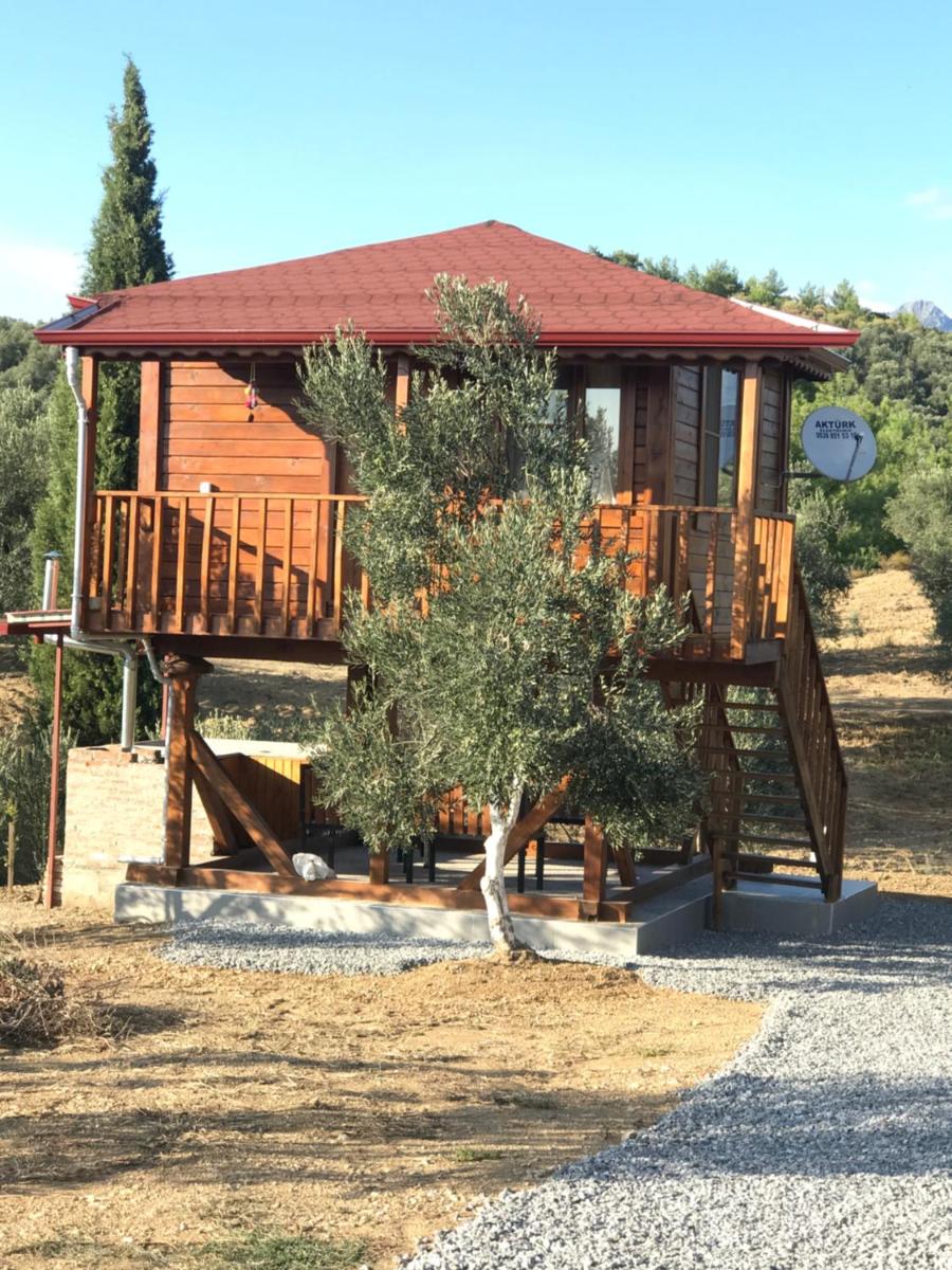 Egeros Ahşap Köy Evi C2 - Housity