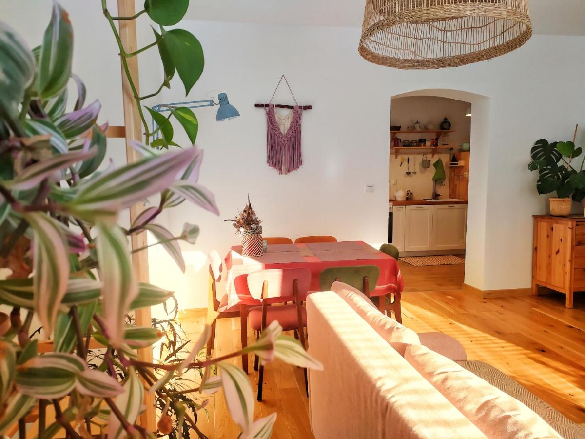 Apartament Borówka - Housity