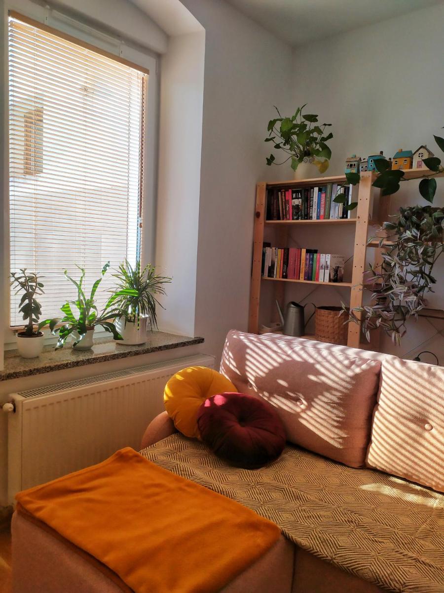 Apartament Borówka - Housity