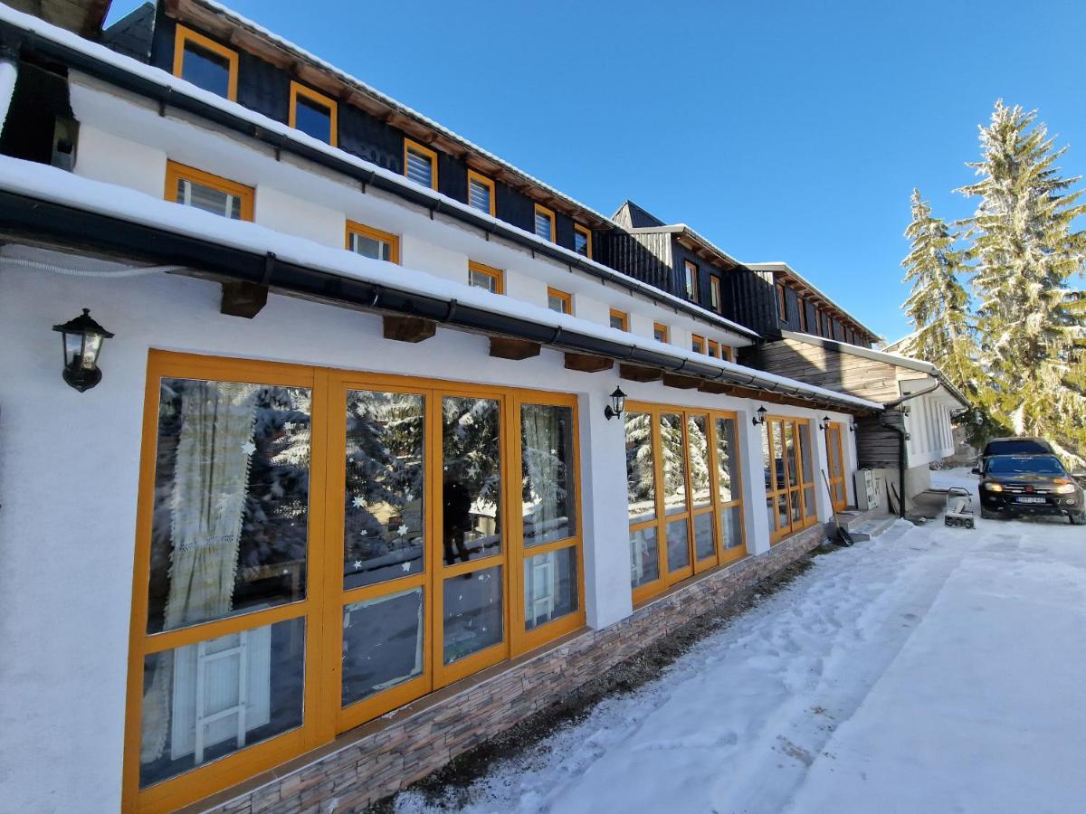 Winter Forest Vlasic - Housity