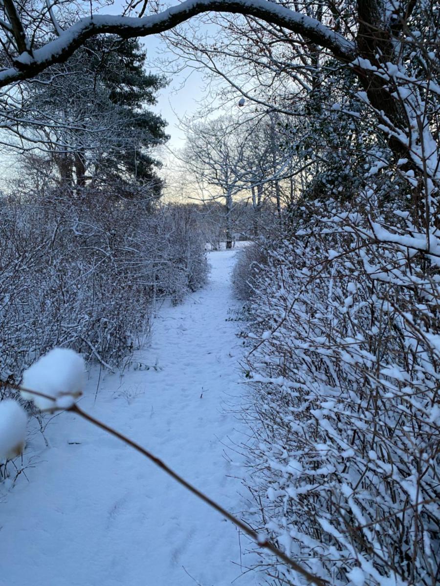 Suitetrails - Rønhave
