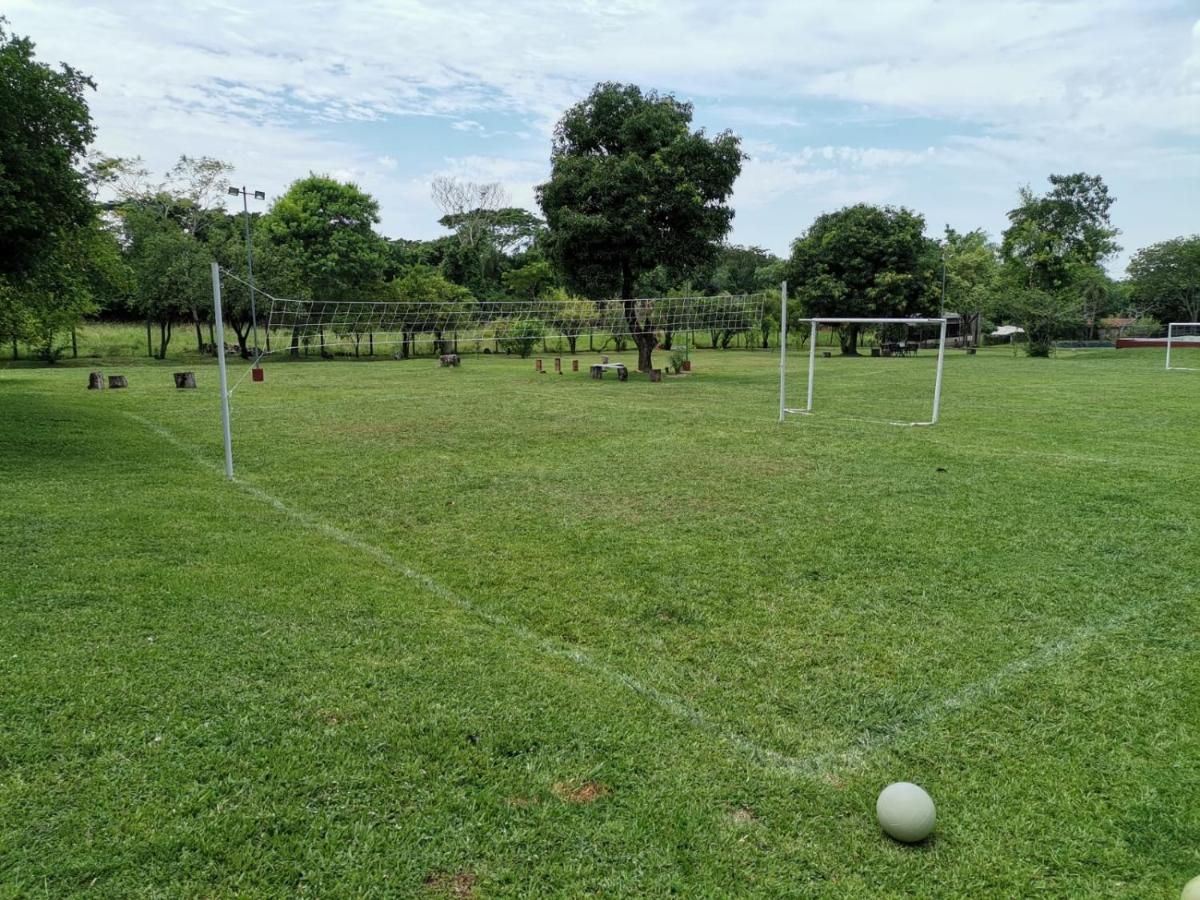 Quinta Los Lapachos de Ypané - Housity