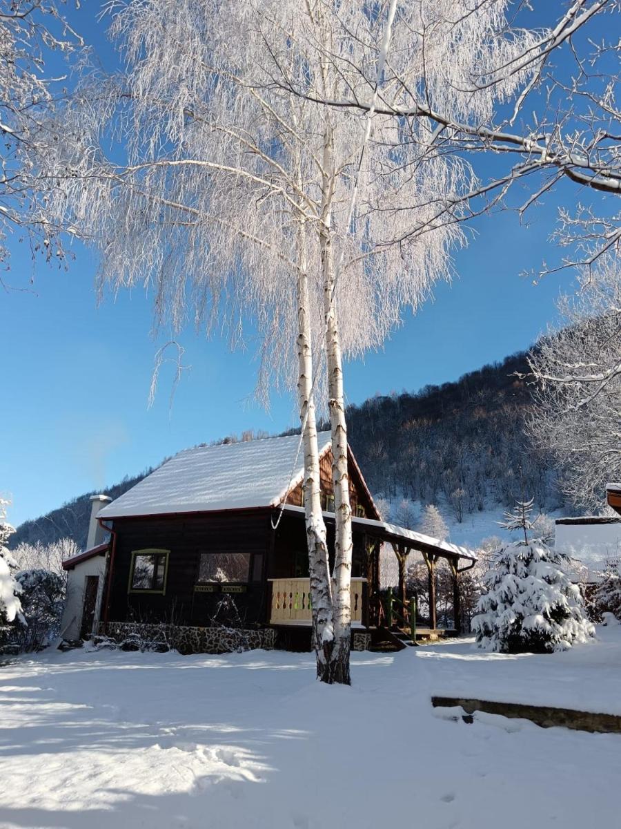 Haihui pe Rusca - Housity