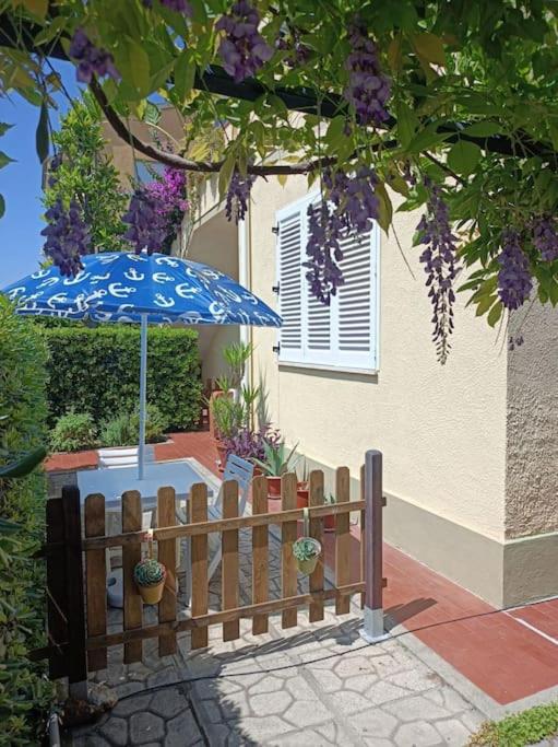 Casa Rosa Marina di Cecina - Housity