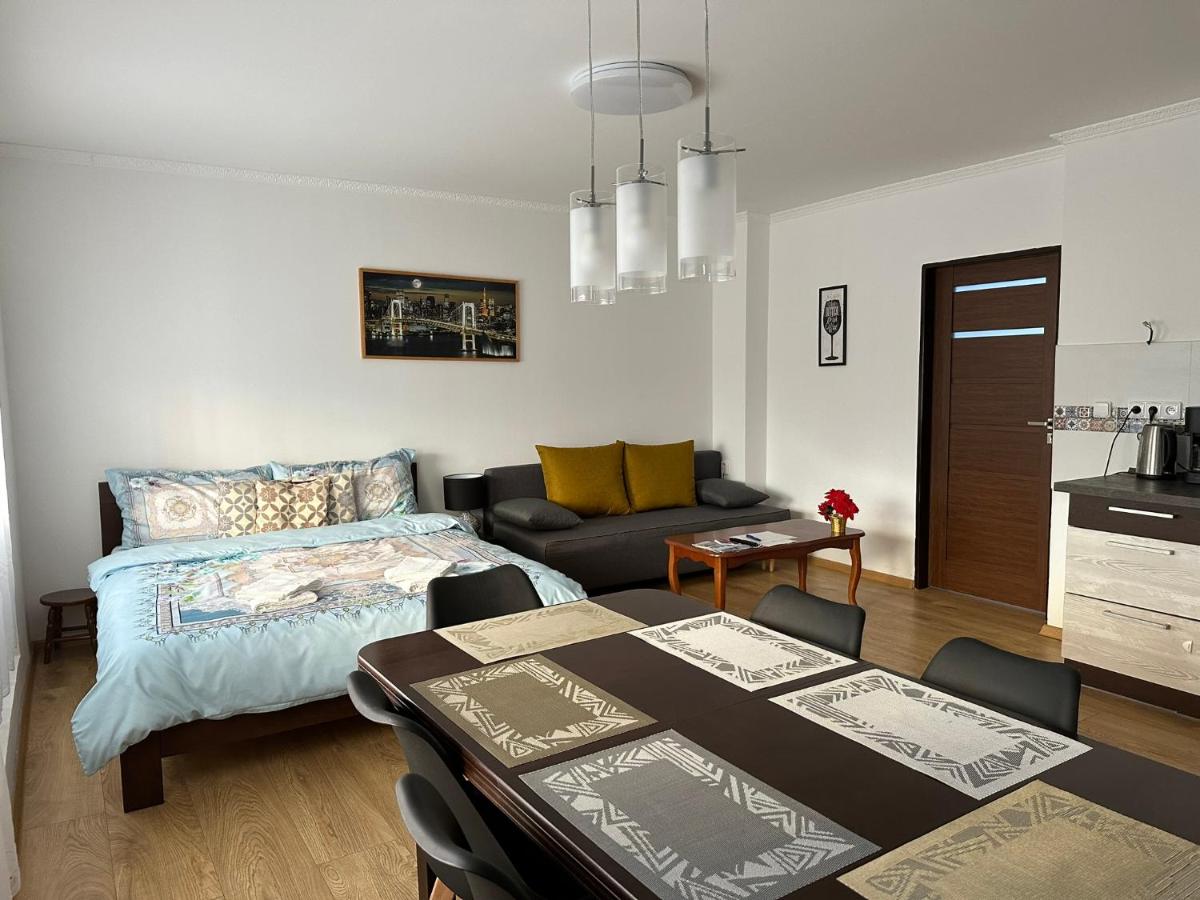 Apartmán v Krušných horách-free parking - Housity