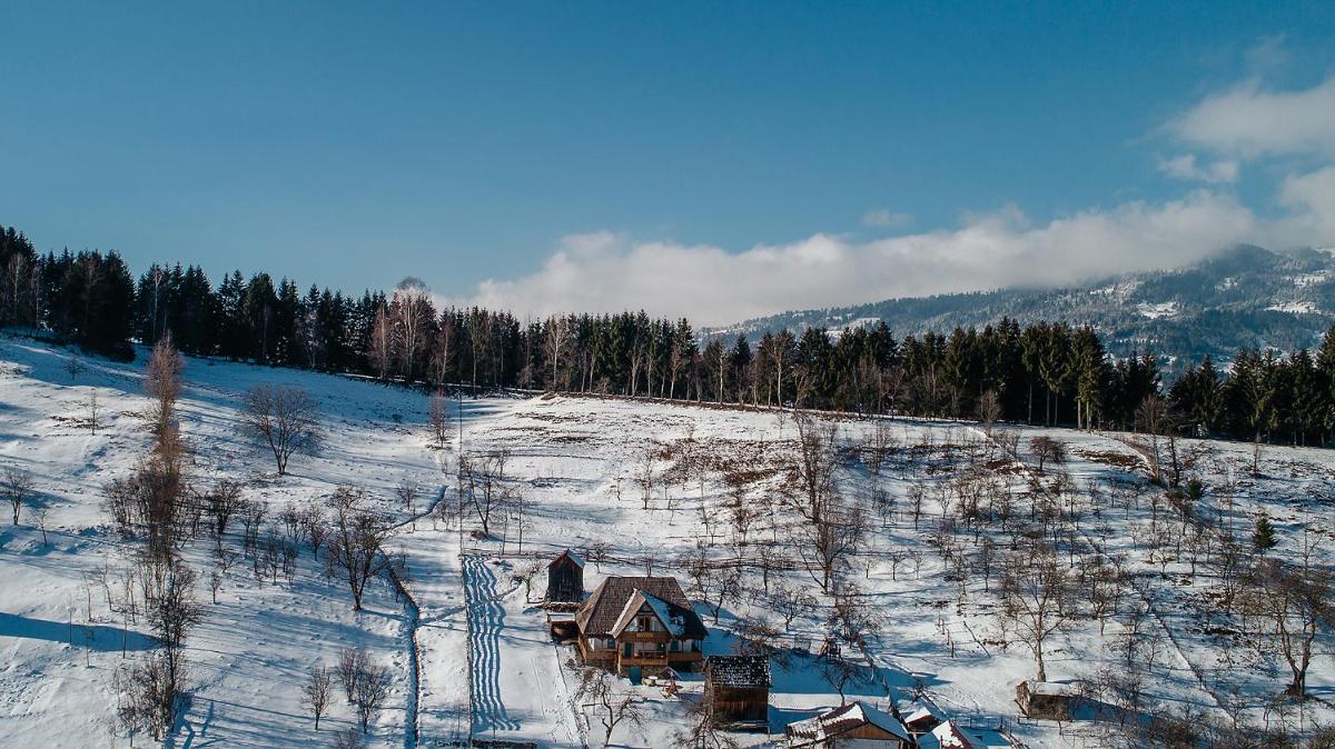 La bujda lu mosu - Housity