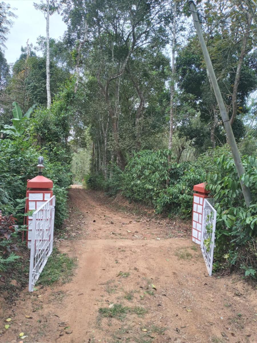 Coorg klusters estate stay - Hizvo