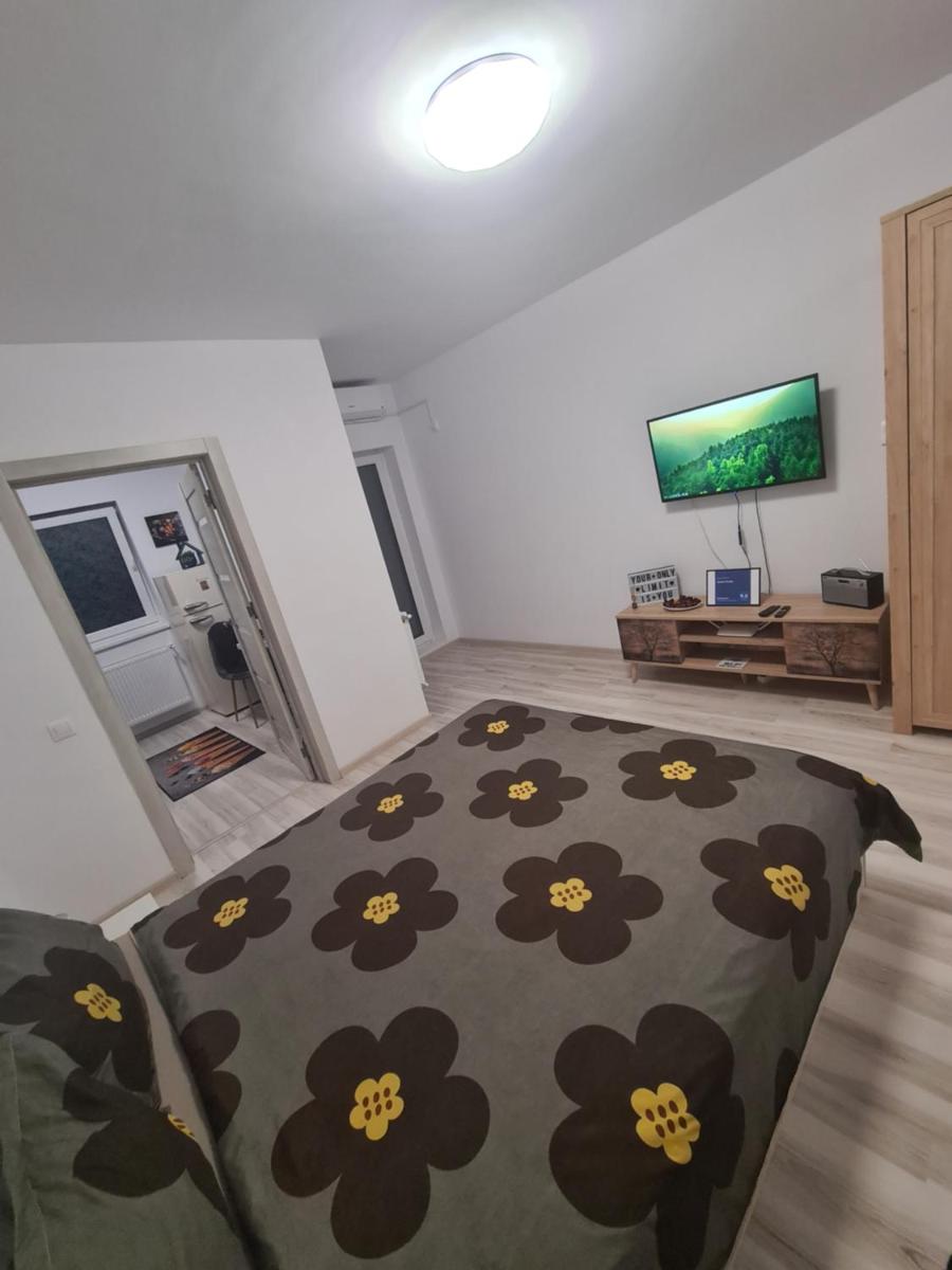 Siriului Studio - Housity