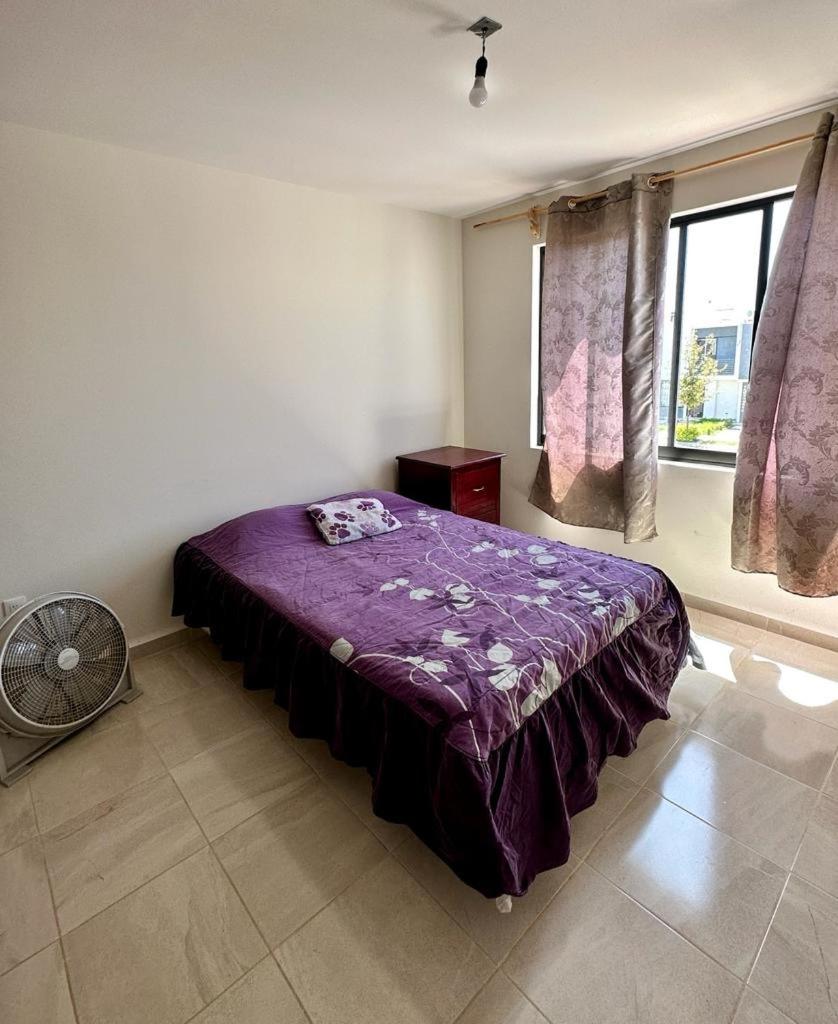 Alojamiento completo - Housity