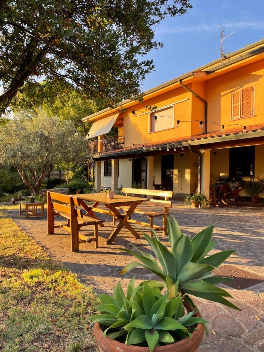 Botanea Guest House - Housity
