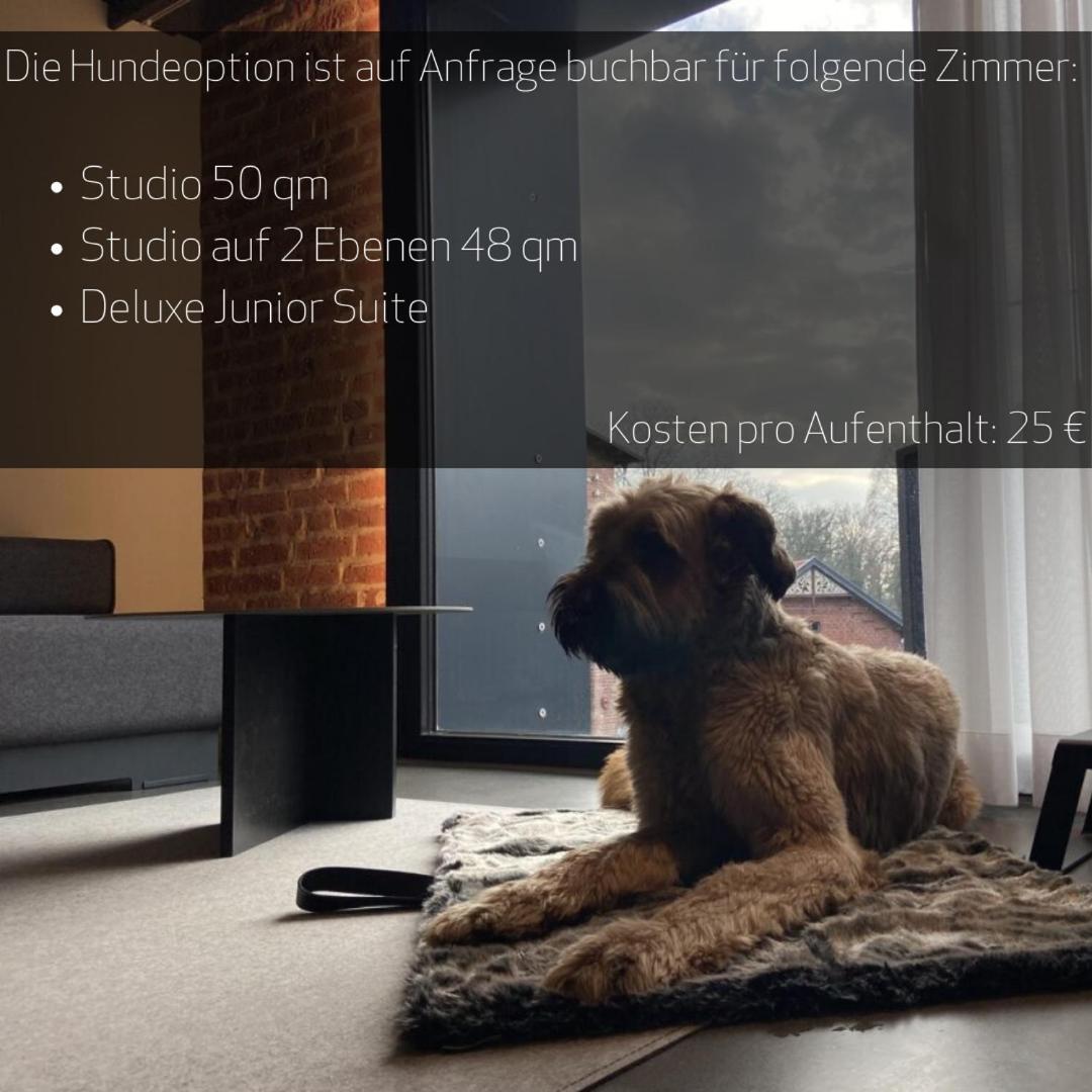 PÖLTER bei MARKUS T - Housity
