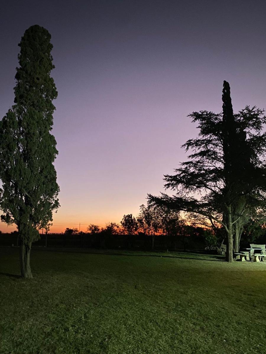 Hotel Los Pinares - Housity