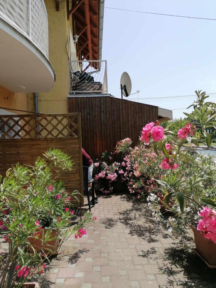 Tarr-Tímea Apartmanok - Housity