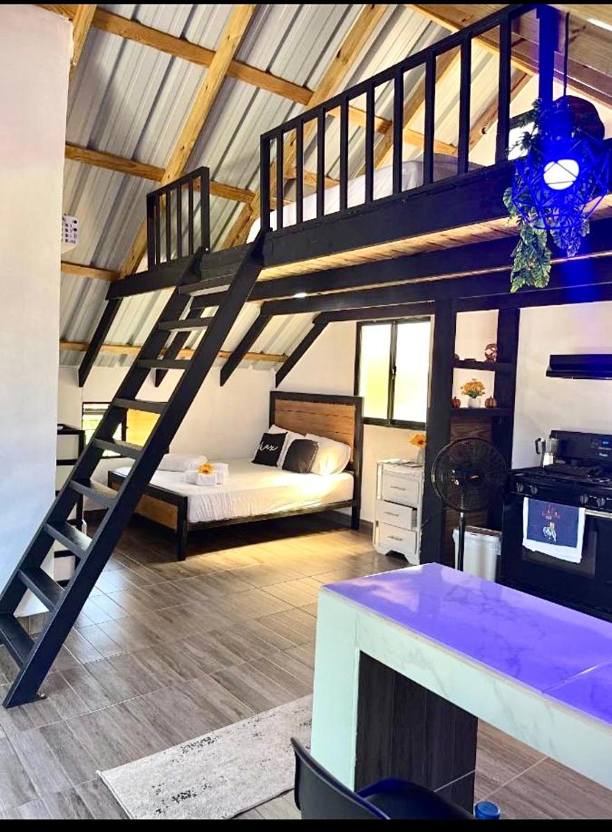 Suitetrails - Lovely tiny studio