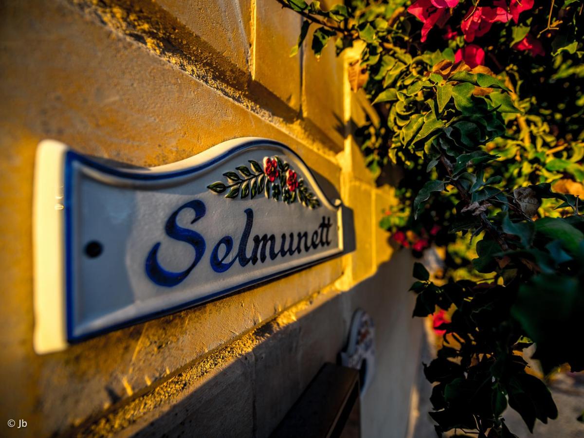 Villa Selmunett - Housity