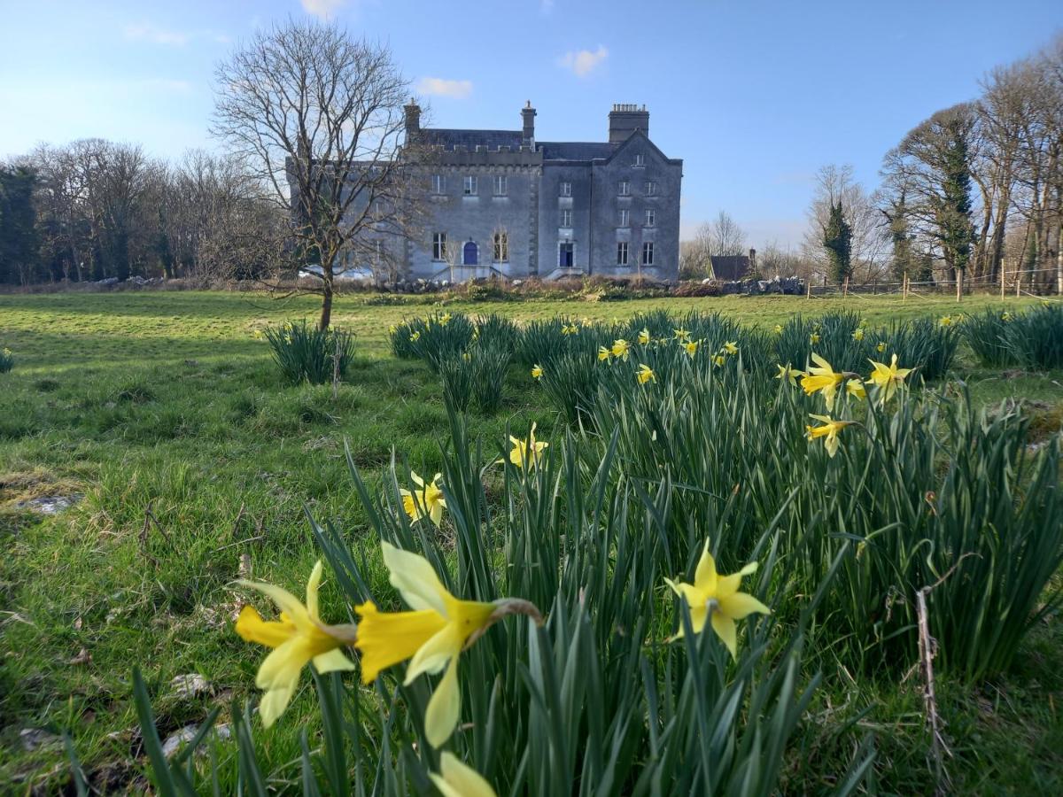 Cregg Castle - Housity