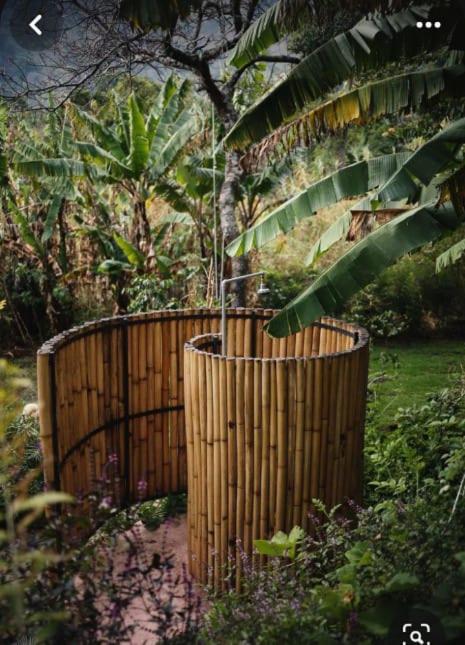 Moksha glamping - Housity