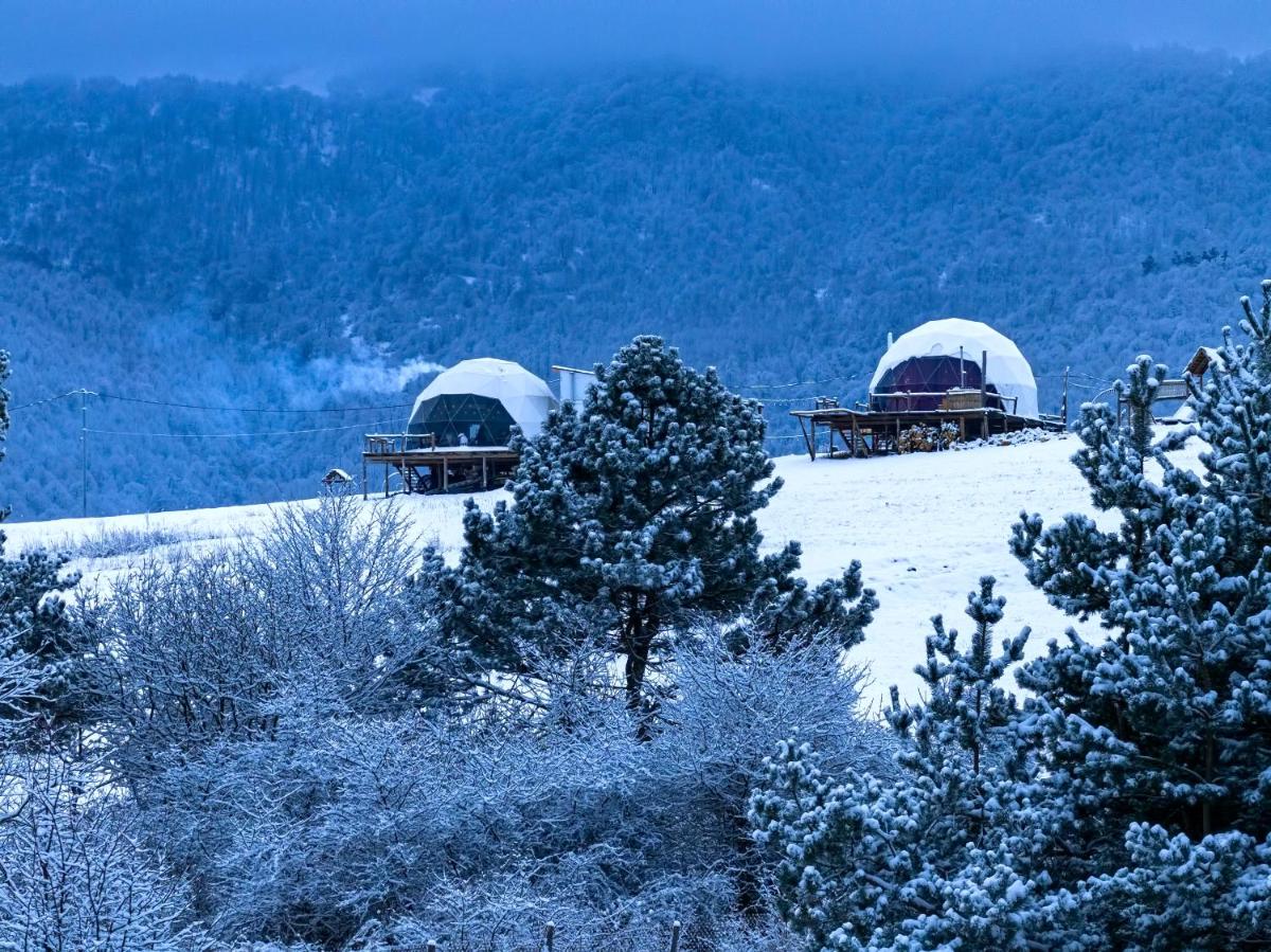 Glamping Park - Housity
