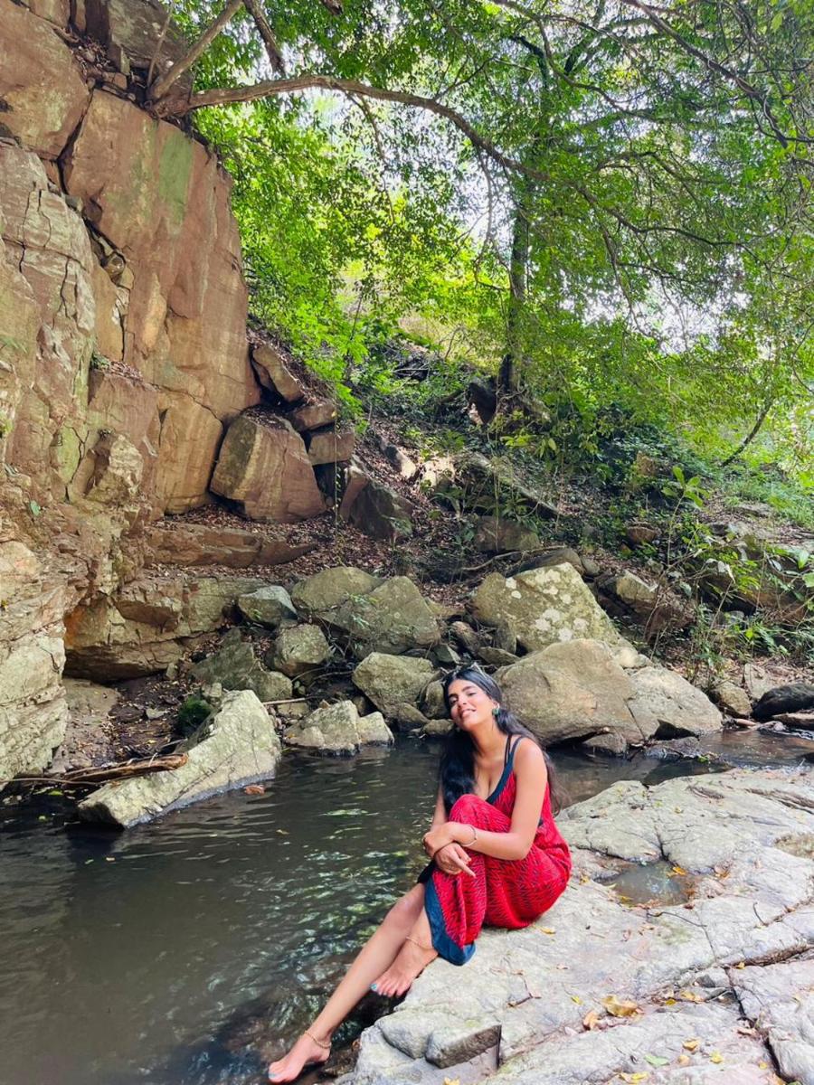 Beyond Bodhi, A Forest Retreat - Housity