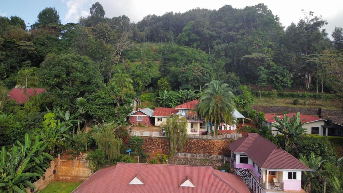 Lushoto views homestays - Housity