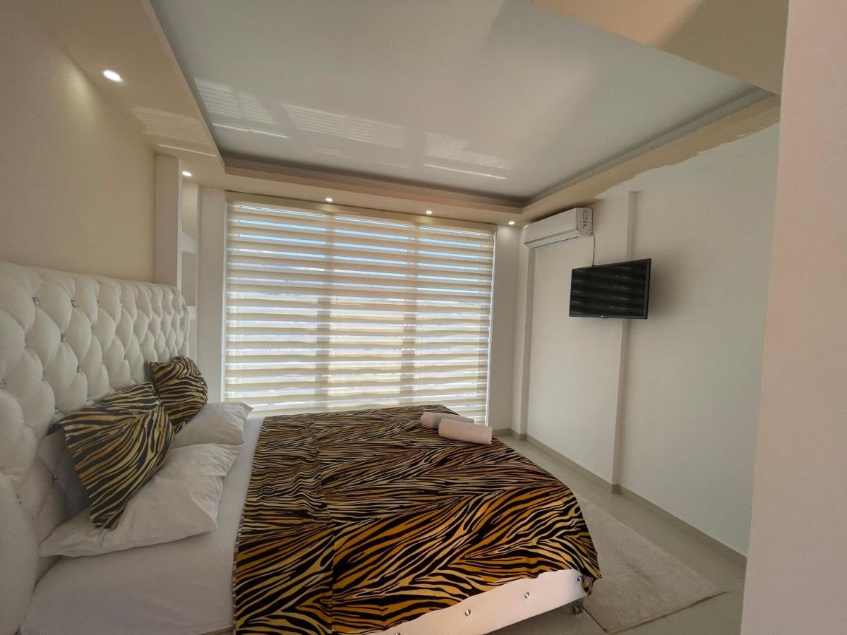 Queen Kodre Apartments - Housity