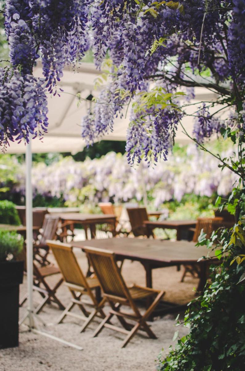 Jardin de l'établissement Hotel Logis - Chateau de Beauregard