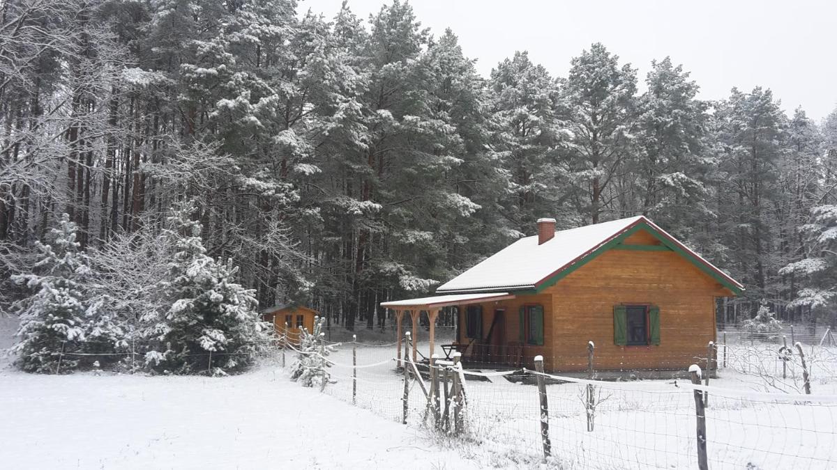 Agroturystyka Polana Harmonii - Housity