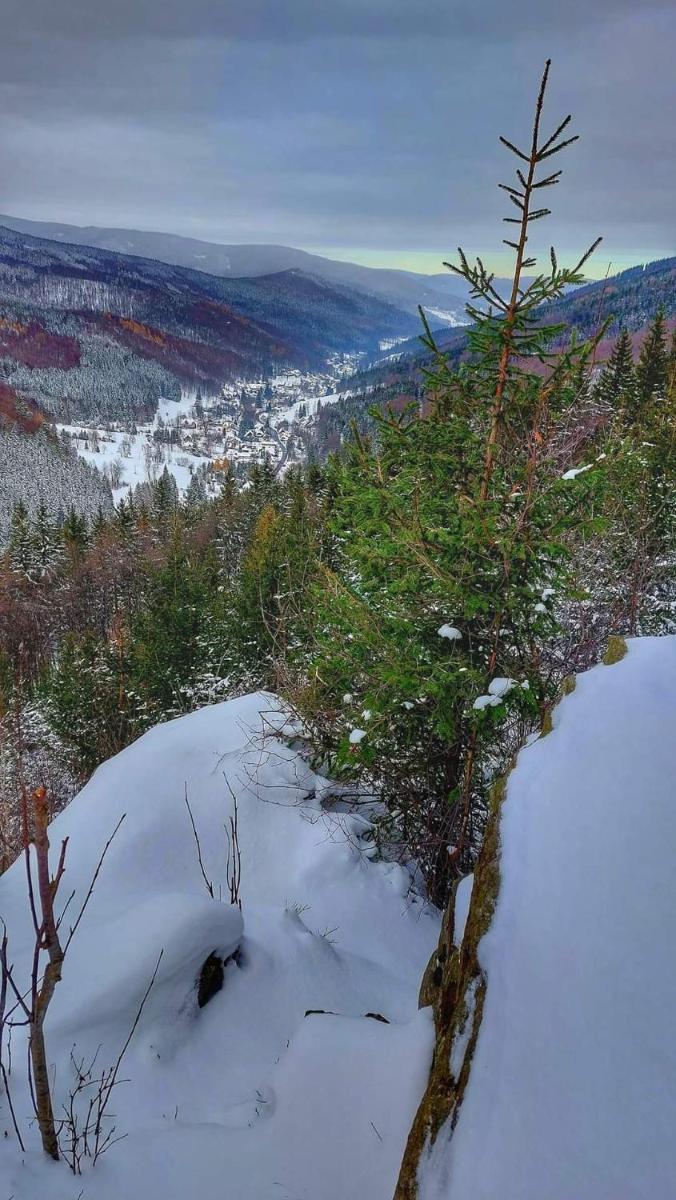 APARTMáN POD SMRČINOU - Housity