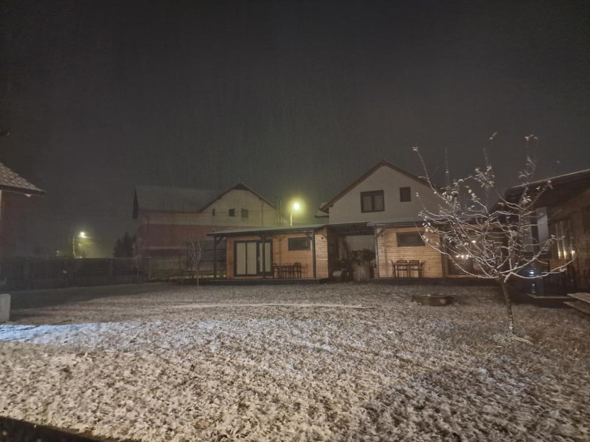 CASA ȘINCU - Housity