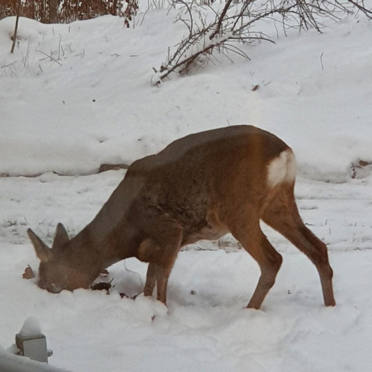 Torpet Gårdsvägen - Housity