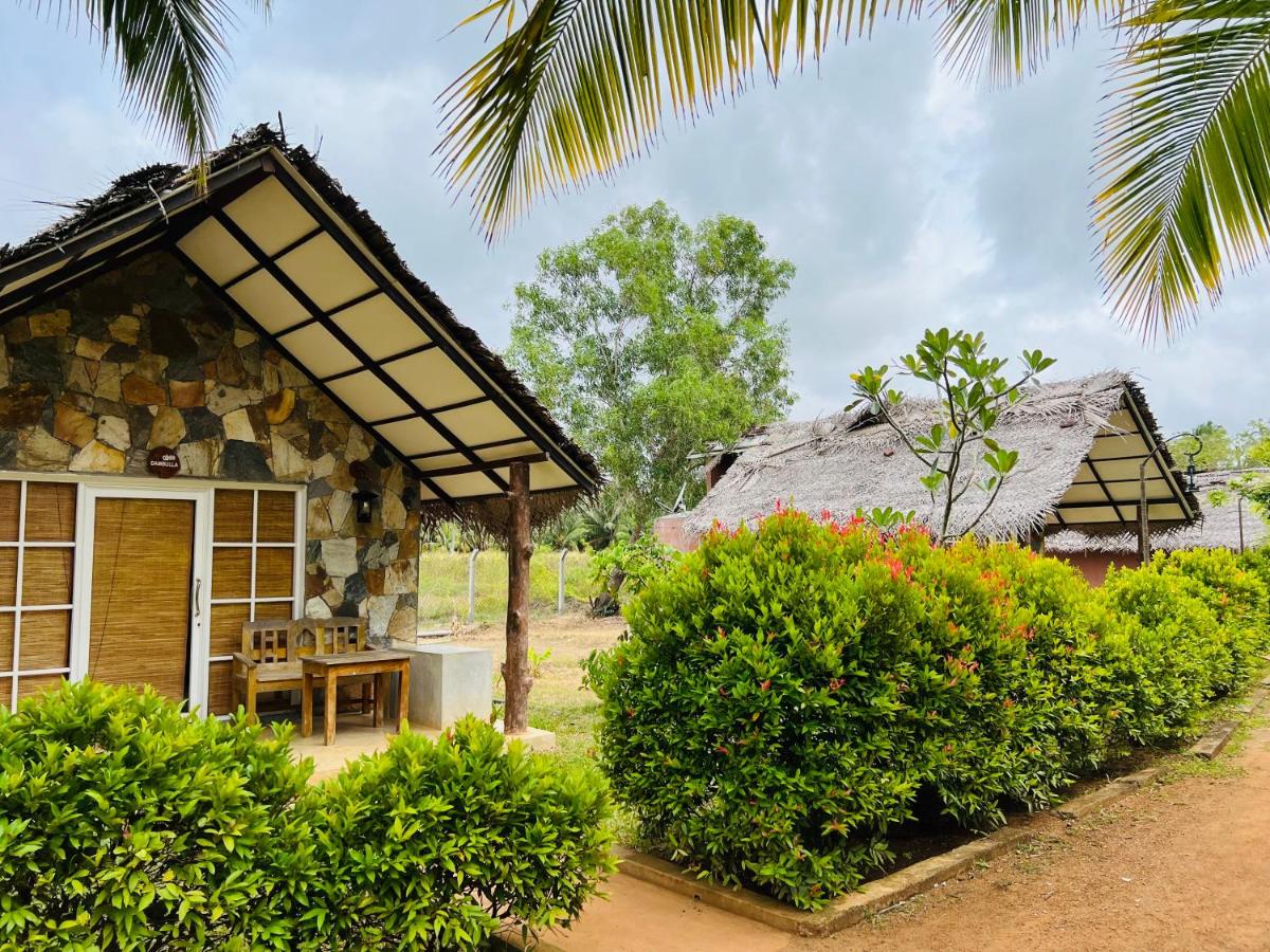 Coco Village Hotel Chilaw - Housity