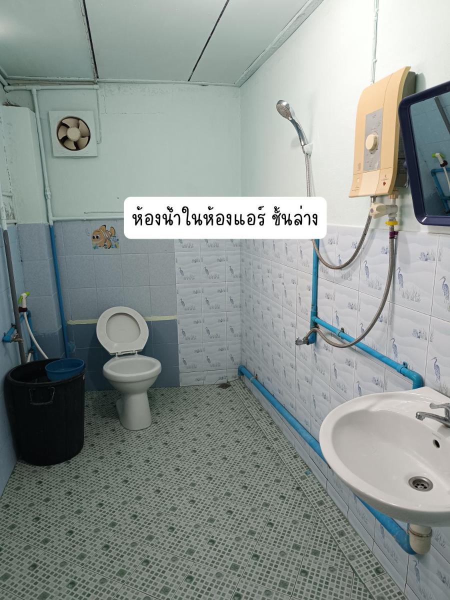 Suitetrails - Meedee House (มีดี เฮ้าส์)