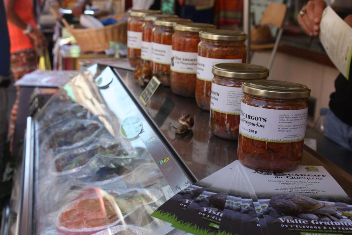 Studios du Marché au Bois - Hizvo