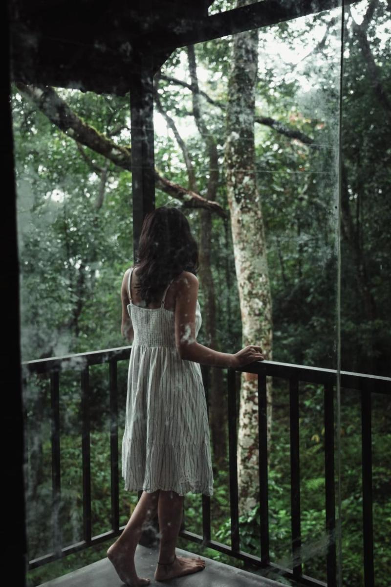 Whitedove Wayanad - Housity