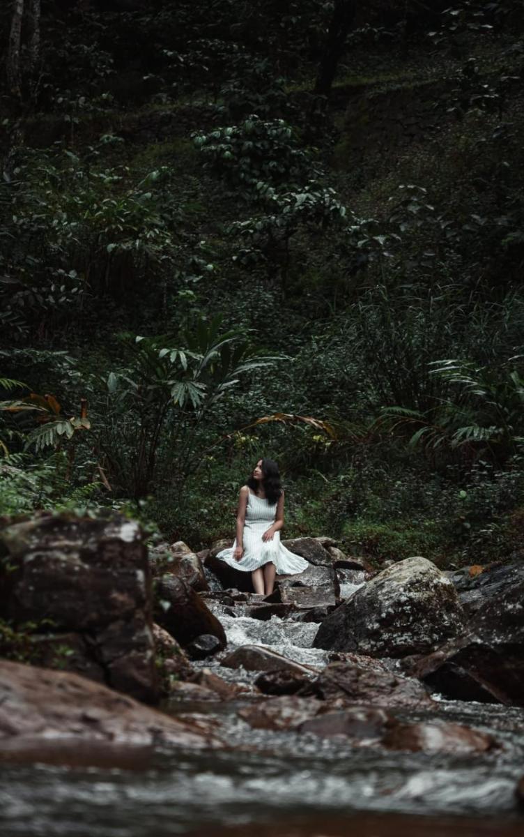 Whitedove Wayanad - Housity