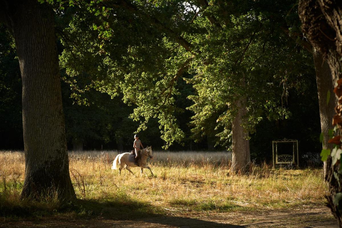 Animaux dans l'hôtel ou à proximité