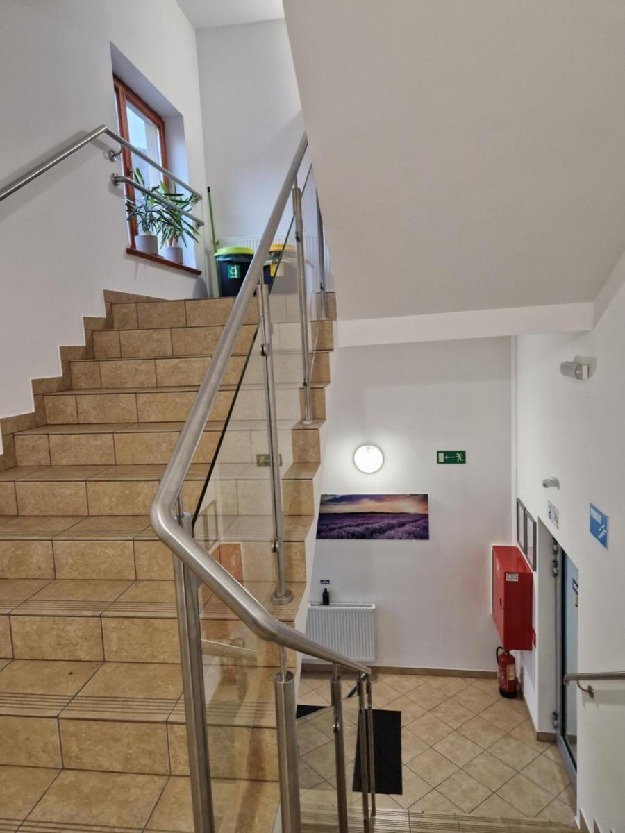 Pokój Superior 1 - Willa Lawenda - Housity