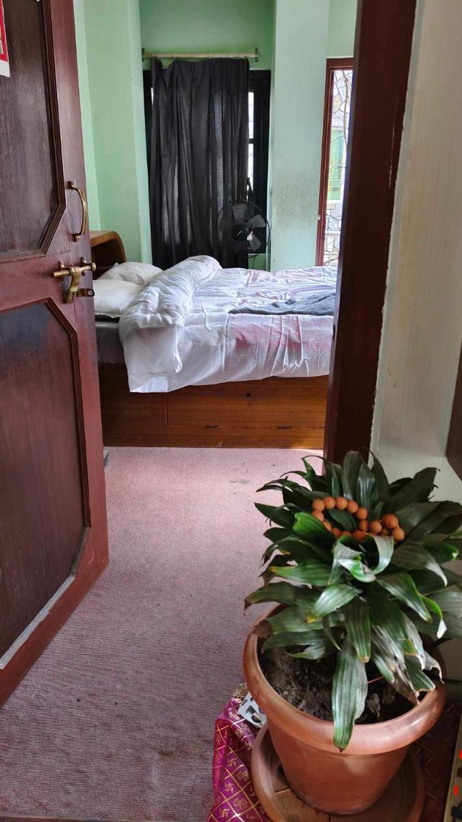 Monkey Temple Homestay - Housity