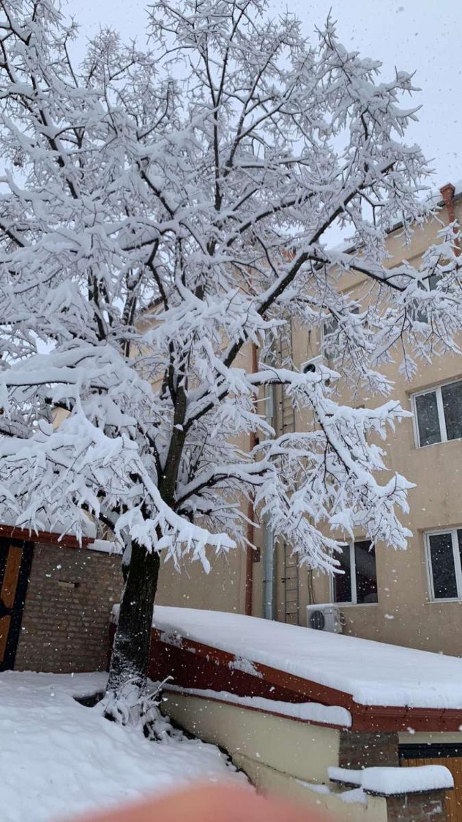 Apartment Chavchavadze 5 - Housity