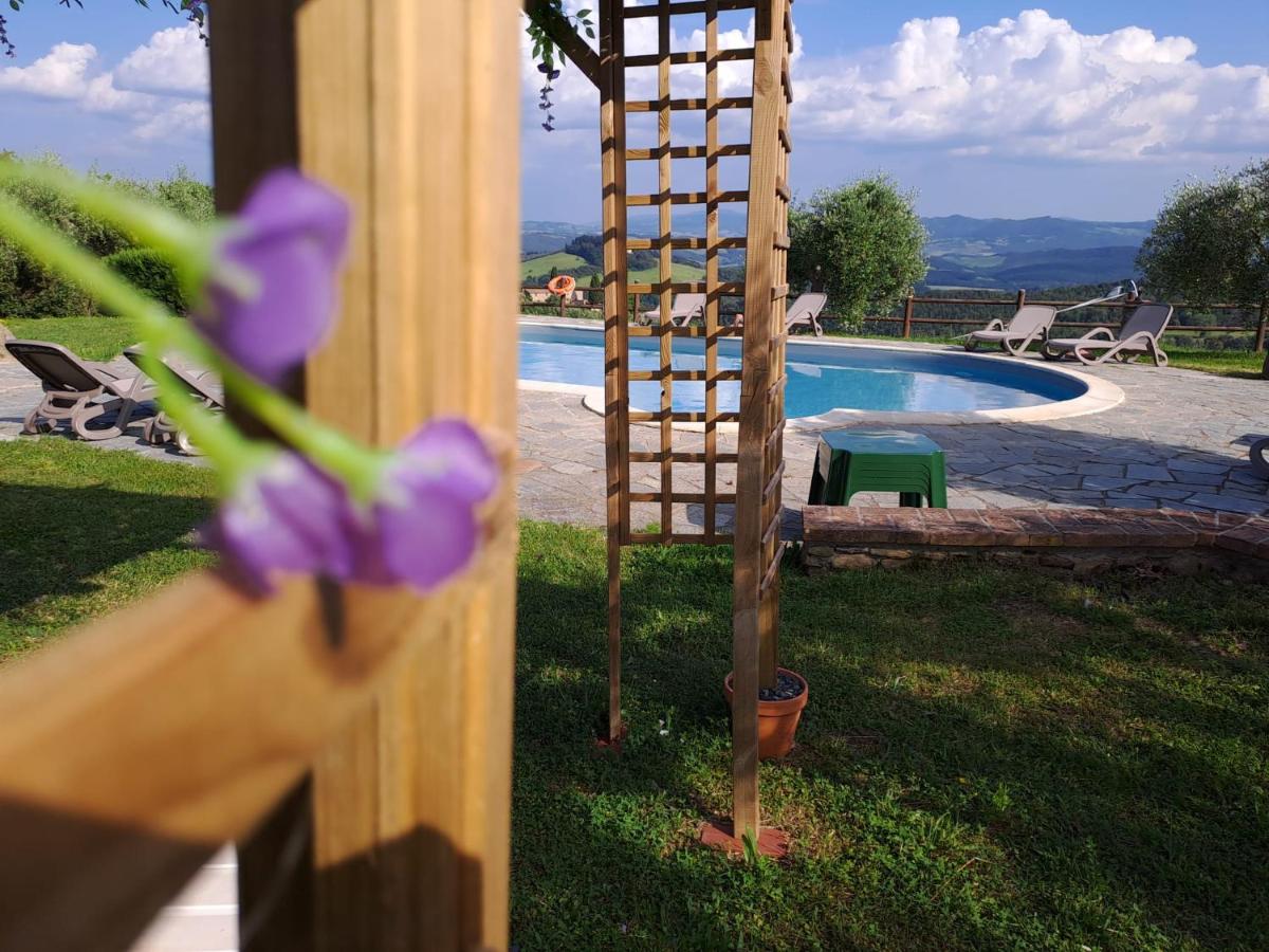 Podere Oliveta - Housity