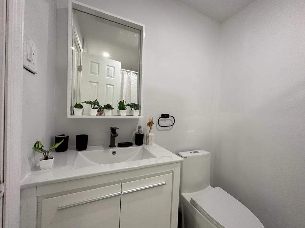 Private suite close to Kendall Hospital and FIU - Housity