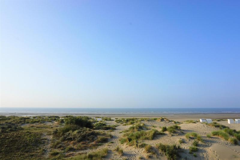 Cabien Zeedijk Oostduinkerke - Housity
