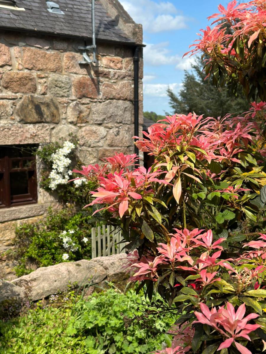 Awakening Alchemy Retreat Centre - Housity