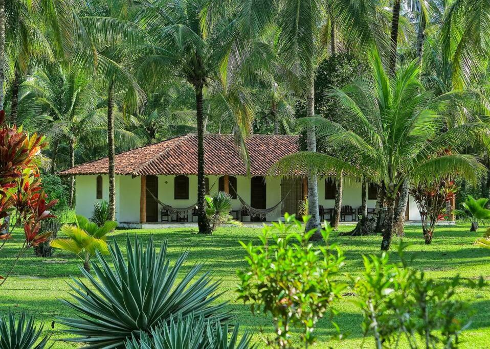 Casinha Jardim das Palmeiras - Housity